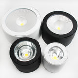 Commercial Lighting Waterproof IP65 Led Spotlight Lamp Surface Mounted Led Ceiling Cob Downlight for Outdoor Shop Balcony Hotel