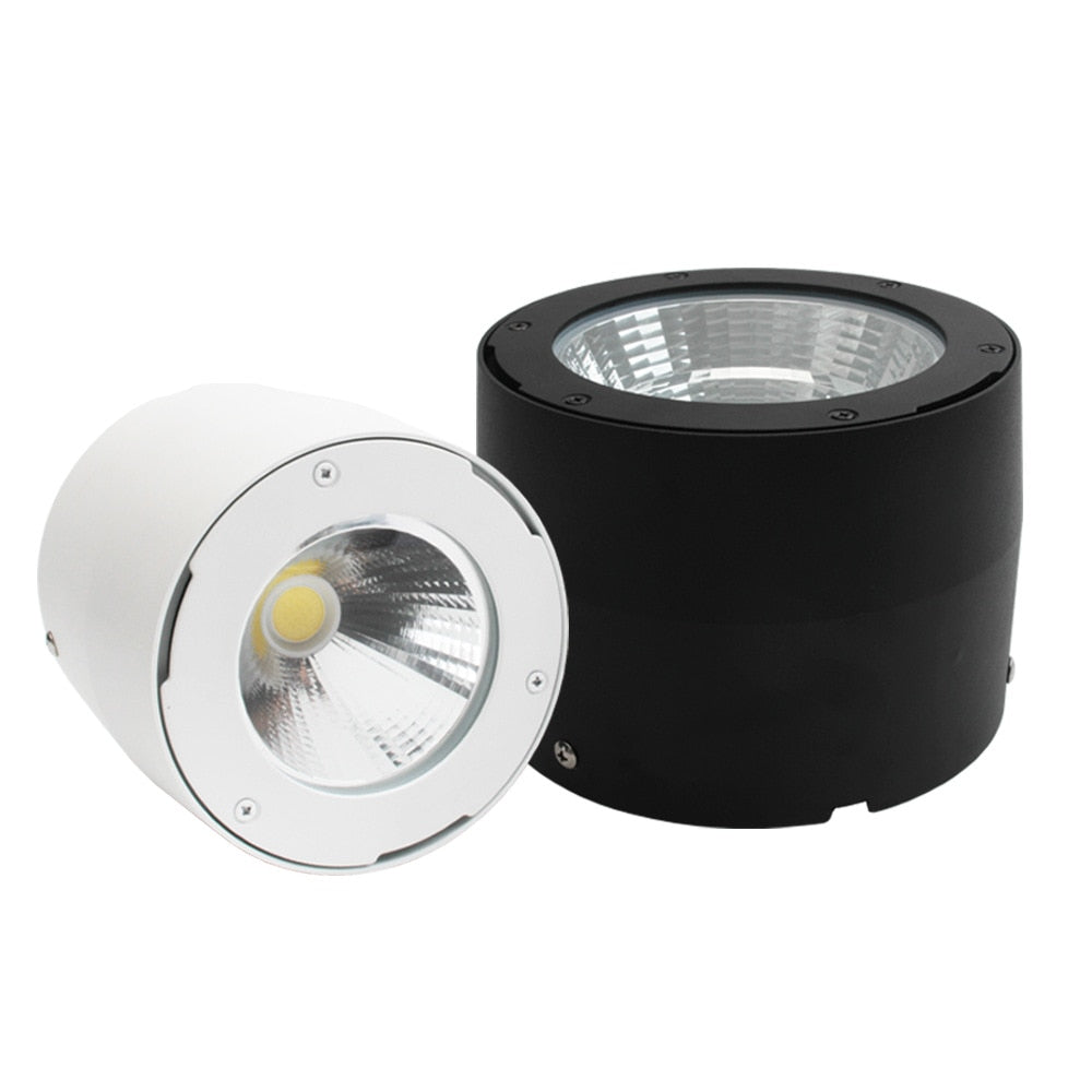 Commercial Lighting Waterproof IP65 Led Spotlight Lamp Surface Mounted Led Ceiling Cob Downlight for Outdoor Shop Balcony Hotel