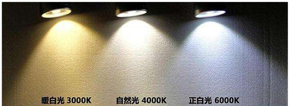 Commercial Lighting Waterproof IP65 Led Spotlight Lamp Surface Mounted Led Ceiling Cob Downlight for Outdoor Shop Balcony Hotel