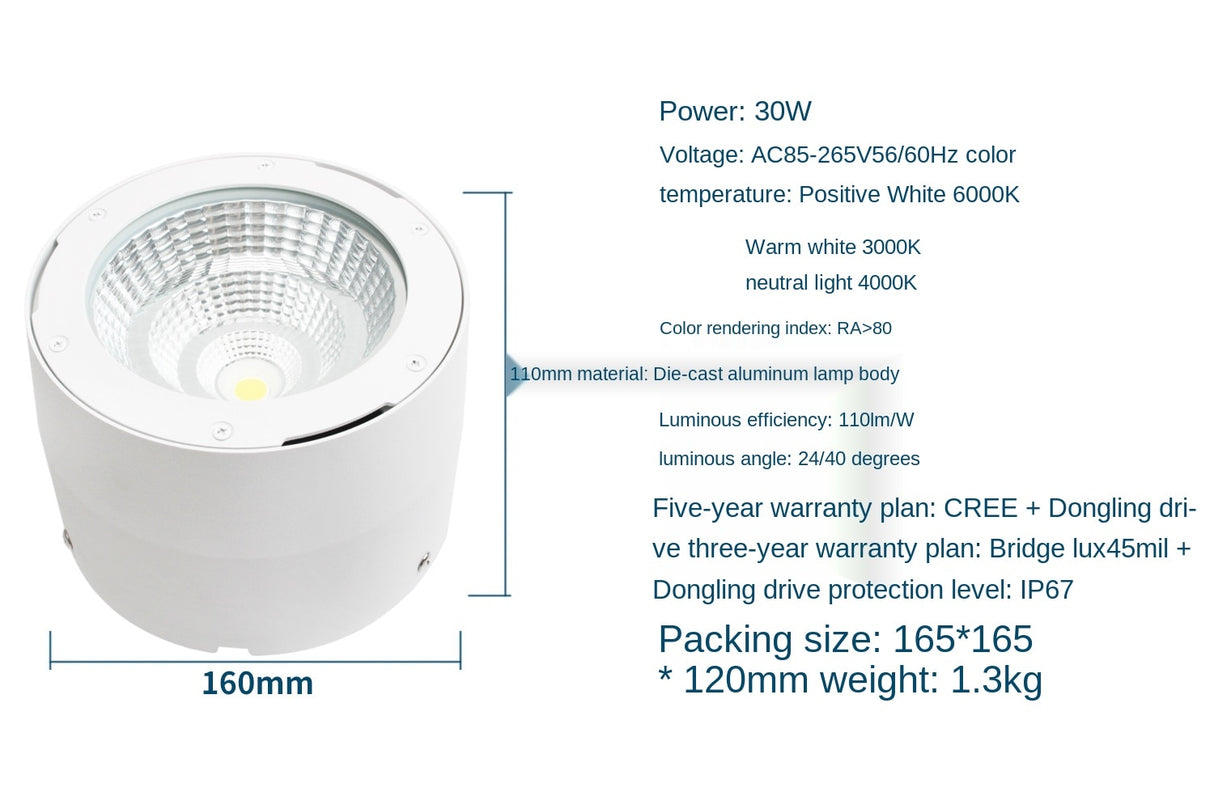 Commercial Lighting Waterproof IP65 Led Spotlight Lamp Surface Mounted Led Ceiling Cob Downlight for Outdoor Shop Balcony Hotel