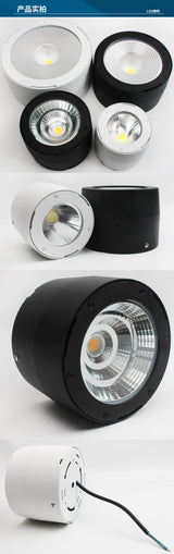 Commercial Lighting Waterproof IP65 Led Spotlight Lamp Surface Mounted Led Ceiling Cob Downlight for Outdoor Shop Balcony Hotel