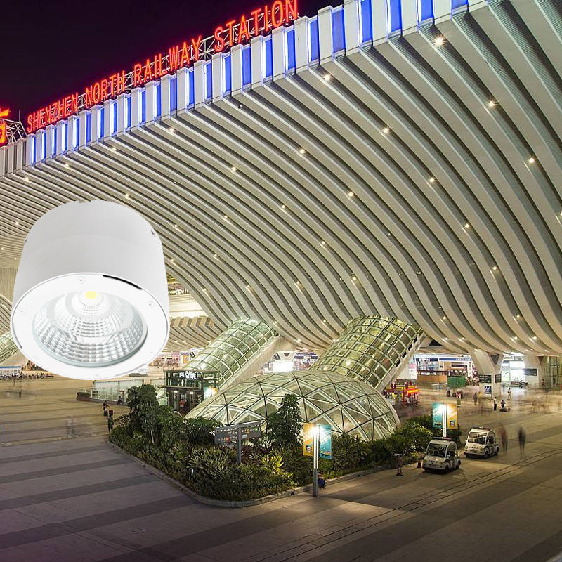 Commercial Lighting Waterproof IP65 Led Spotlight Lamp Surface Mounted Led Ceiling Cob Downlight for Outdoor Shop Balcony Hotel