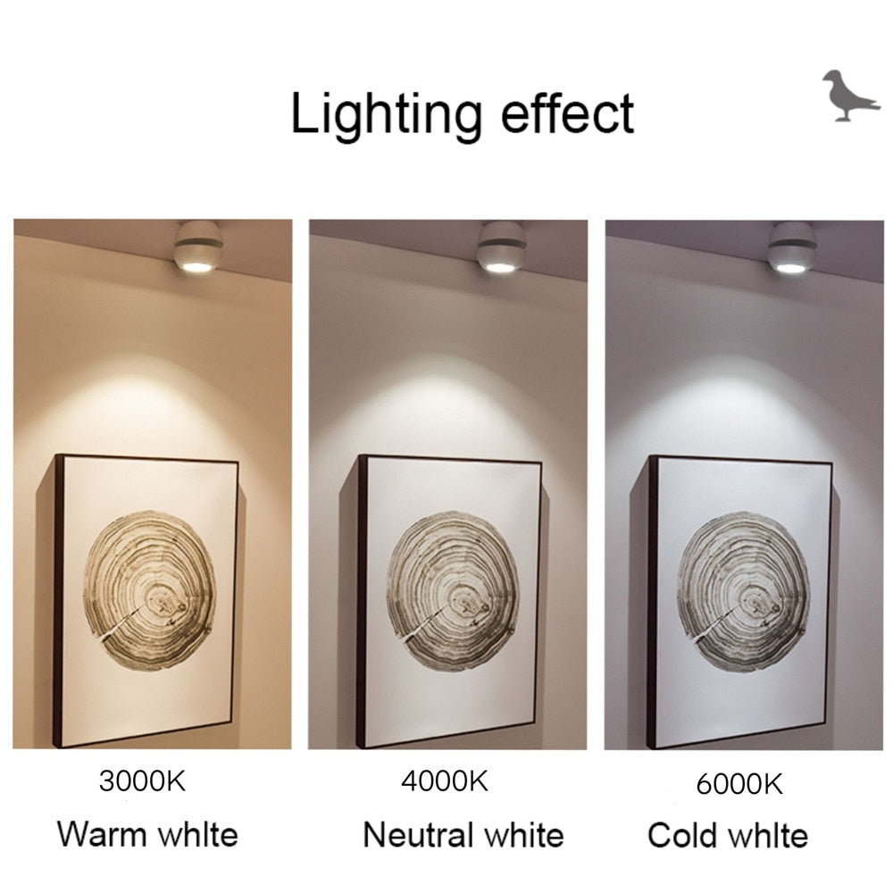 LED spotlight ceiling lamp embedded 1W display cabinet jewelry store small opening 5.5/6cm ox eye lamp small downlight