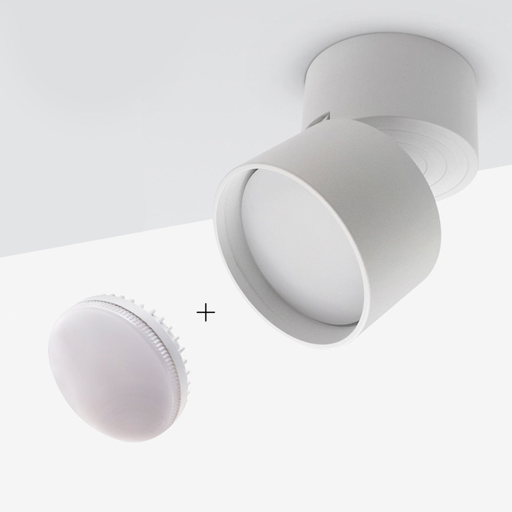 Angle Adjustable Surface Mounted LED Downlight with Replaceable LED Bulb 7W 9W 12W Replaceable Downlight led Spot Light 85-265V