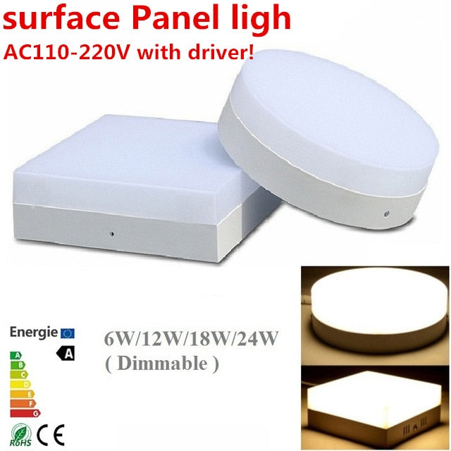 LED Light Surface Mounted 6W-24W Ceiling Downlight Panel LED Light with driver 85-265V High Lumens LED Down Light