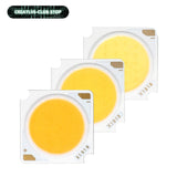 LED COB Chip Light-emitting 10pcs 1919 10W 20W 30W 40W Diode Imported Bridgelux Crystal Chip DC30-33V DIY Downlight Panel Light