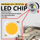 LED COB Chip Light-emitting 10pcs 1919 10W 20W 30W 40W Diode Imported Bridgelux Crystal Chip DC30-33V DIY Downlight Panel Light