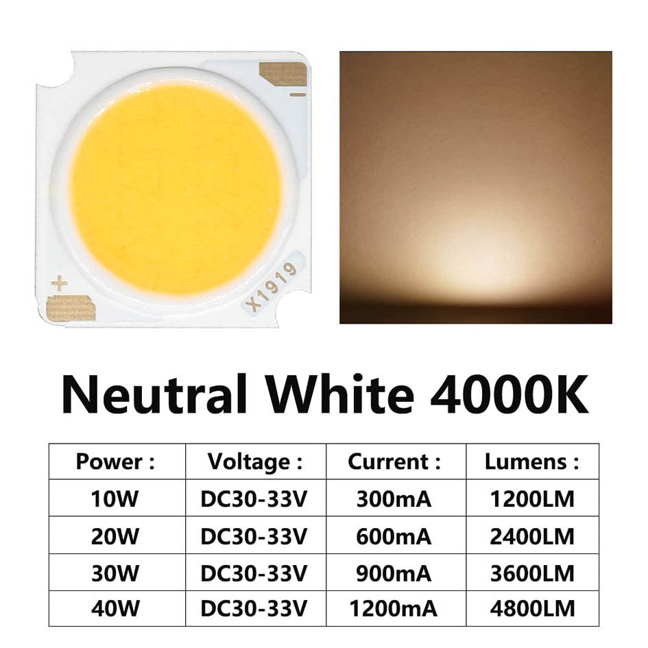 LED COB Chip Light-emitting 10pcs 1919 10W 20W 30W 40W Diode Imported Bridgelux Crystal Chip DC30-33V DIY Downlight Panel Light