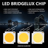 LED COB Chip Light-emitting 10pcs 1919 10W 20W 30W 40W Diode Imported Bridgelux Crystal Chip DC30-33V DIY Downlight Panel Light