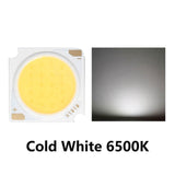 LED COB Chip Light-emitting 10pcs 1919 10W 20W 30W 40W Diode Imported Bridgelux Crystal Chip DC30-33V DIY Downlight Panel Light