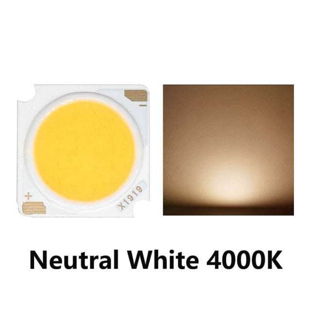 LED COB Chip Light-emitting 10pcs 1919 10W 20W 30W 40W Diode Imported Bridgelux Crystal Chip DC30-33V DIY Downlight Panel Light