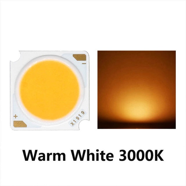 LED COB Chip Light-emitting 10pcs 1919 10W 20W 30W 40W Diode Imported Bridgelux Crystal Chip DC30-33V DIY Downlight Panel Light