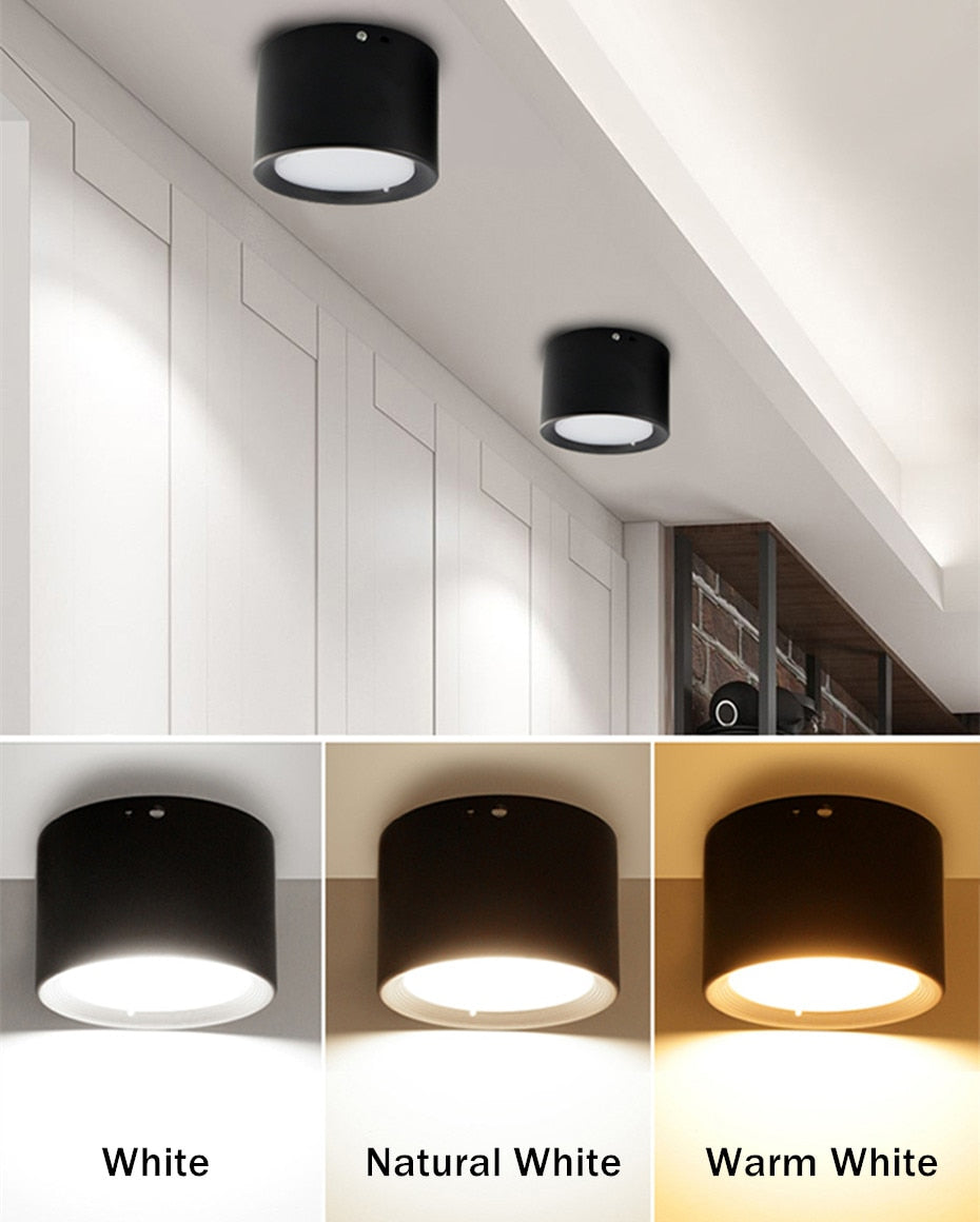 Downlight-Led-Lamp Dimmable Spot Ceiling Lamp Aluminum Surface Mounted High Brightness Down light 5W 12W Lighting AC110V 220V