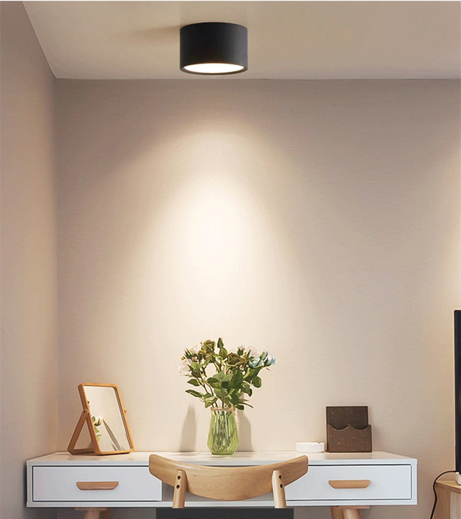 Downlight-Led-Lamp Dimmable Spot Ceiling Lamp Aluminum Surface Mounted High Brightness Down light 5W 12W Lighting AC110V 220V