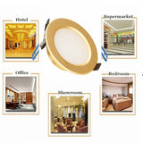 Golden LED Recessed 3W 5W 7W 9W 12W Ceiling Light Fixture Downlight Lamp + Driver Spotlight  Lighting For Home Office Decoration