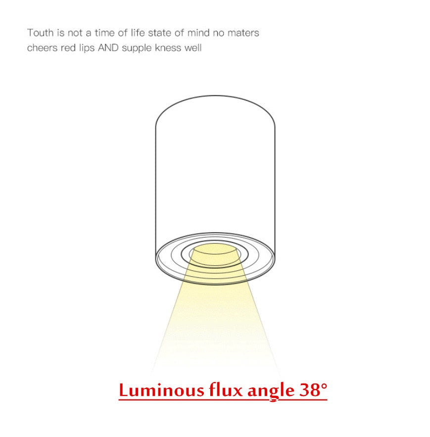 Angle Adjustable LED Surface Mounted Downlight 7W Black/White Housing+Replaceable GU10 Bulb LED Ceiling Spot Light Decor