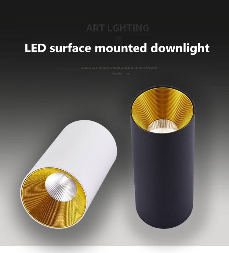 Surface mounted downlight round ceiling light living room ceiling led ceiling light aisle led downlight 7W 12W 15W spotlight