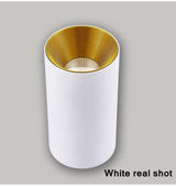 Surface mounted downlight round ceiling light living room ceiling spotlight led ceiling light aisle led downlight 7W 12W 15W