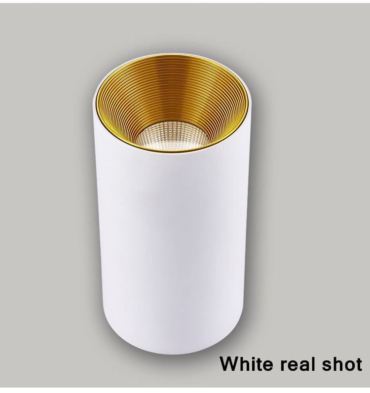 Surface mounted downlight round ceiling light living room ceiling spotlight led ceiling light aisle led downlight 7W 12W 15W