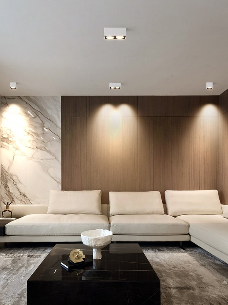 Surface mounted downlight living room no main light box ceiling light grille ceiling lamp aisle ceiling spotlight