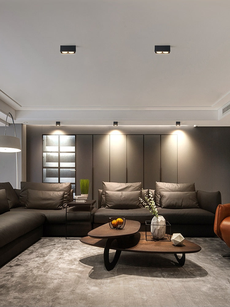 Surface mounted downlight living room no main light box ceiling light grille ceiling lamp aisle ceiling spotlight