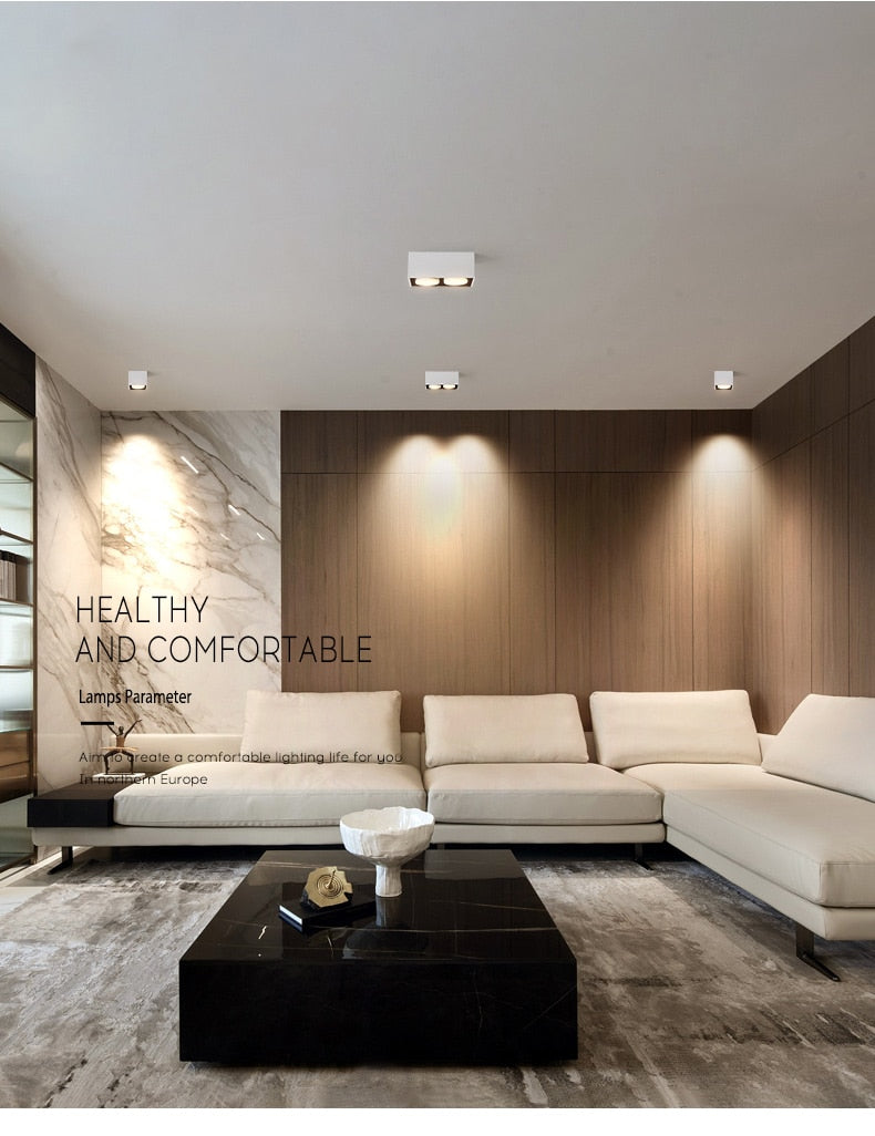 Surface mounted downlight living room no main light box ceiling light grille ceiling lamp aisle ceiling spotlight