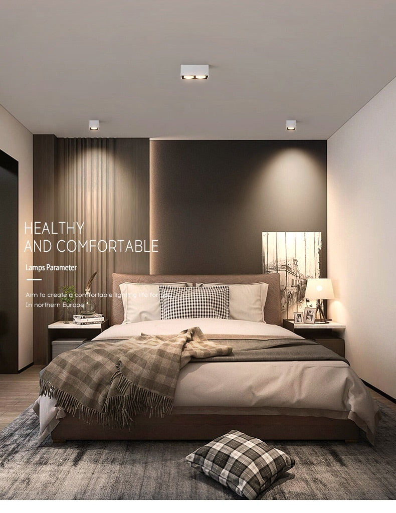 Surface mounted downlight living room no main light box ceiling light grille ceiling lamp aisle ceiling spotlight