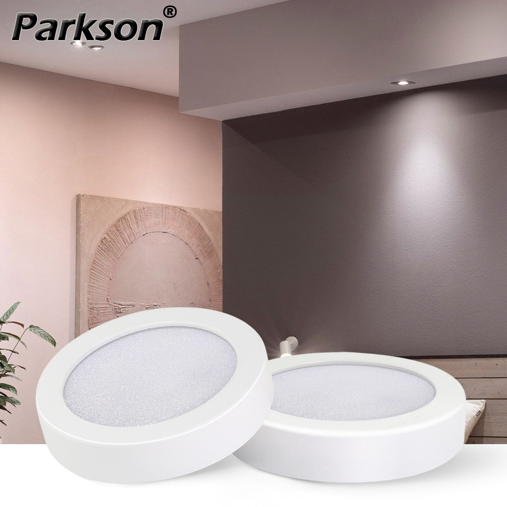 Ceiling Lighting LED Downlight AC 220V 3W 5W 7W LED Spot Light Temputer Ultra-thin Punch-free Ceiling Type Round Ring Lamp Home