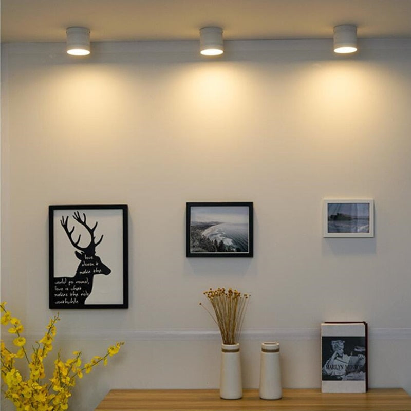 New style Dimmable LED Downlight 7W 10W 12W 15W 18W 20W LED Ceiling Spot Light AC110-220V No opening Ceiling lamp Cylinder