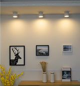 New style Dimmable LED Downlight 7W 10W 12W 15W 18W 20W LED Ceiling Spot Light AC110-220V No opening Ceiling lamp Cylinder