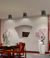 New style Dimmable LED Downlight 7W 10W 12W 15W 18W 20W LED Ceiling Spot Light AC110-220V No opening Ceiling lamp Cylinder