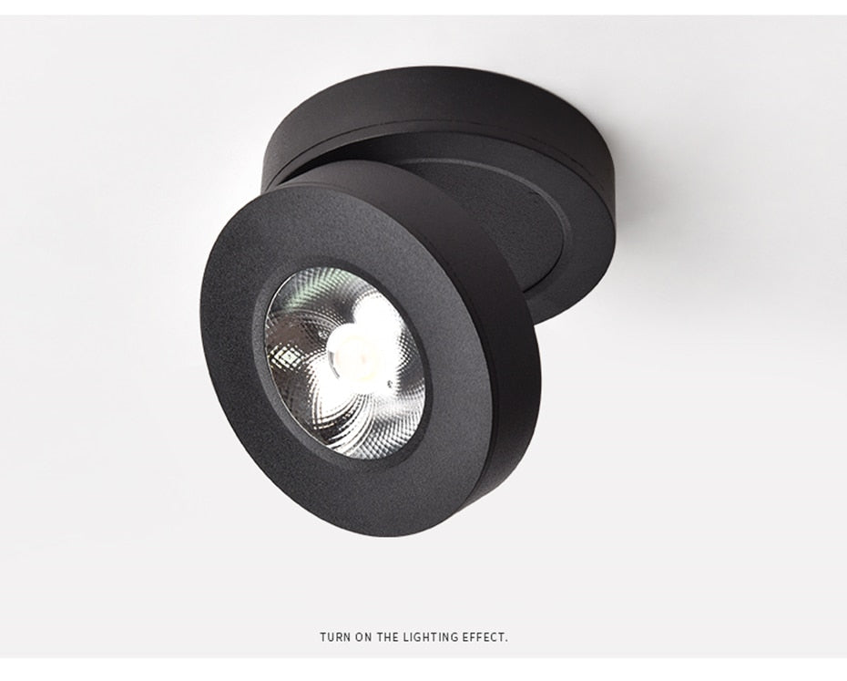 DBF Angle Adjustable LED Surface Mounted Downlight 360 Degree Rotatable 3W 5W 7W Ceiling Spot Light 3000K/4000K/6000K 220V Spotlight