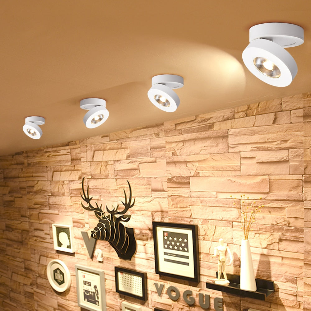 DBF Angle Adjustable LED Surface Mounted Downlight 360 Degree Rotatable 3W 5W 7W Ceiling Spot Light 3000K/4000K/6000K 220V Spotlight