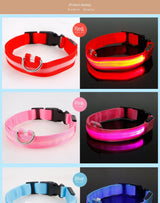 LED Glowing Dog Collar Rechargeable Luminous Collar Adjustable large Dog Night Light Collar Pet Safety Collar for Small Dogs Cat