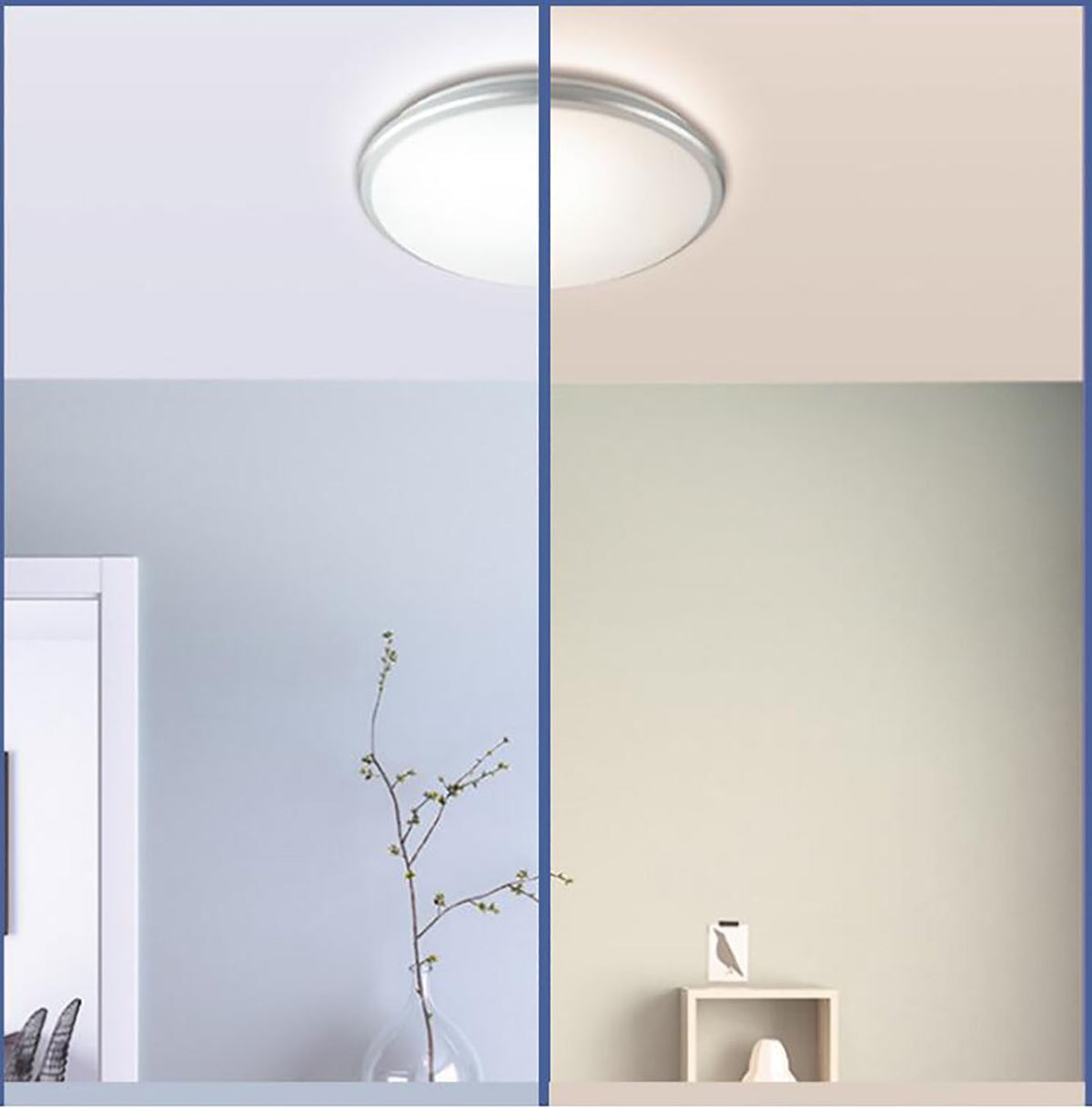 LED PANEL Circle Ring Light SMD2835 12W 18W 24W 36W LED Round Ceiling decoration Ceiling Lamp AC 220V 230V 240V downlight