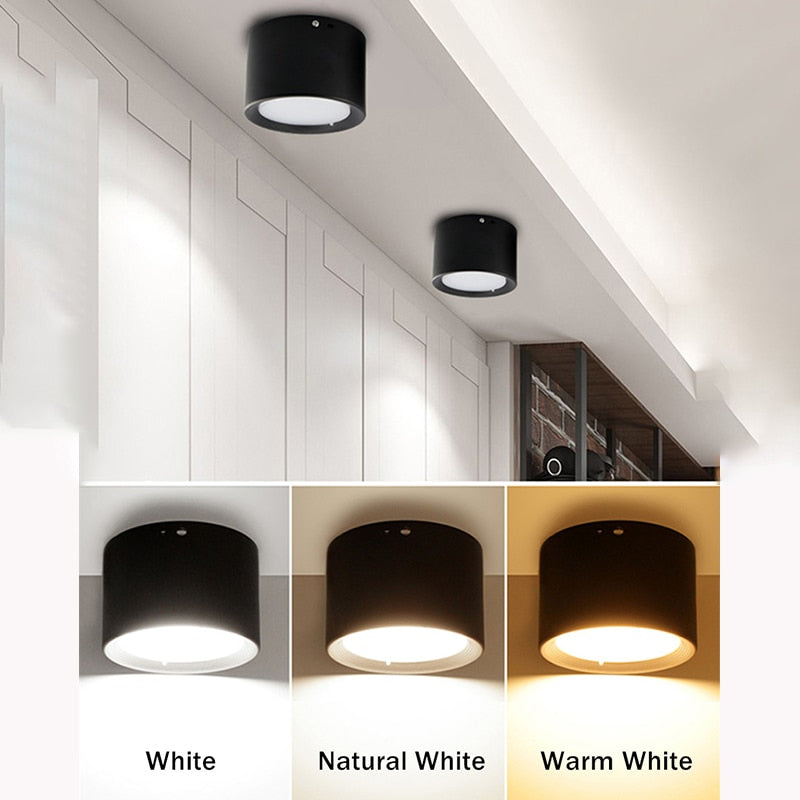 Surface Mounted 5W 7W 9W 12W 15W 18W 20W 24W LED downlight Ceiling Lamps led spot lights Ceiling Fixtures Lighting Indoor Light