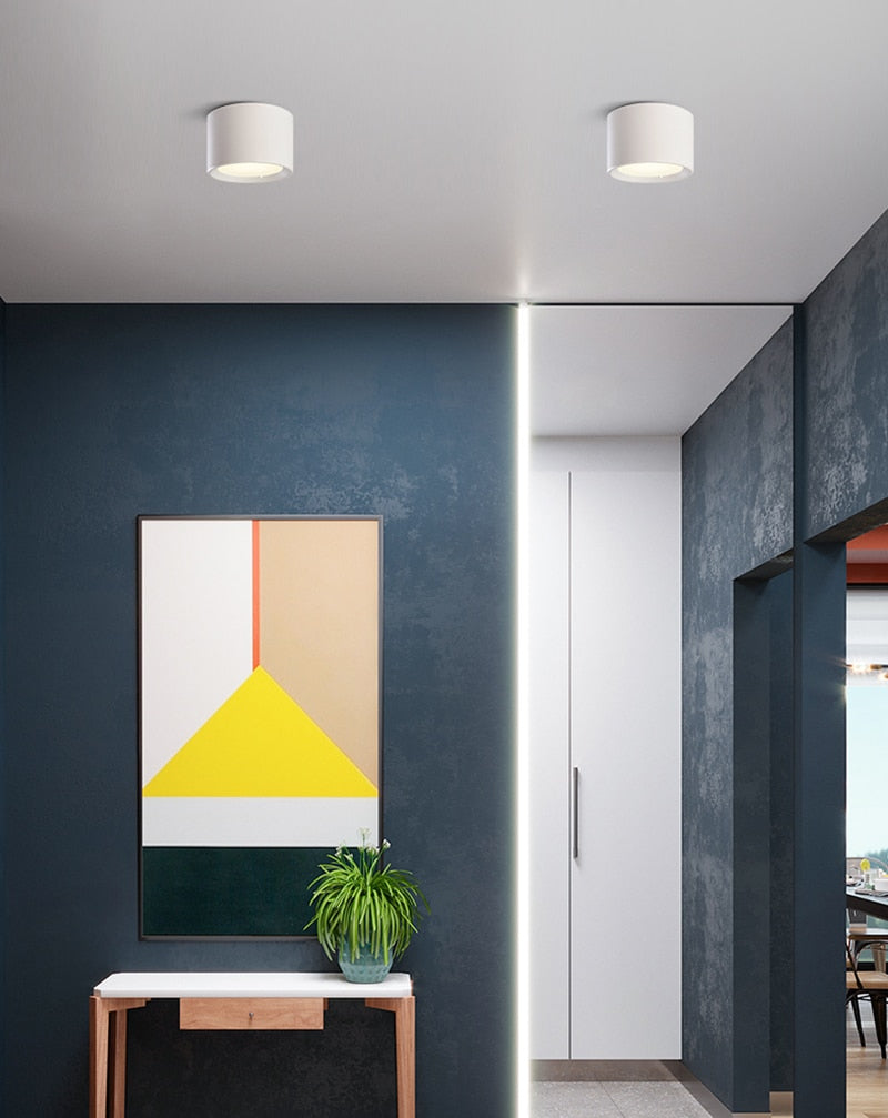 Surface Mounted 5W 7W 9W 12W 15W 18W 20W 24W LED downlight Ceiling Lamps led spot lights Ceiling Fixtures Lighting Indoor Light