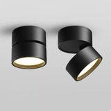 2021 New Style Anti-glare Dimmable Surface Mounted Rotating LED Downlight 20W 15W 10W Epistar Spot Light Ceiling Lamp AC90-260V