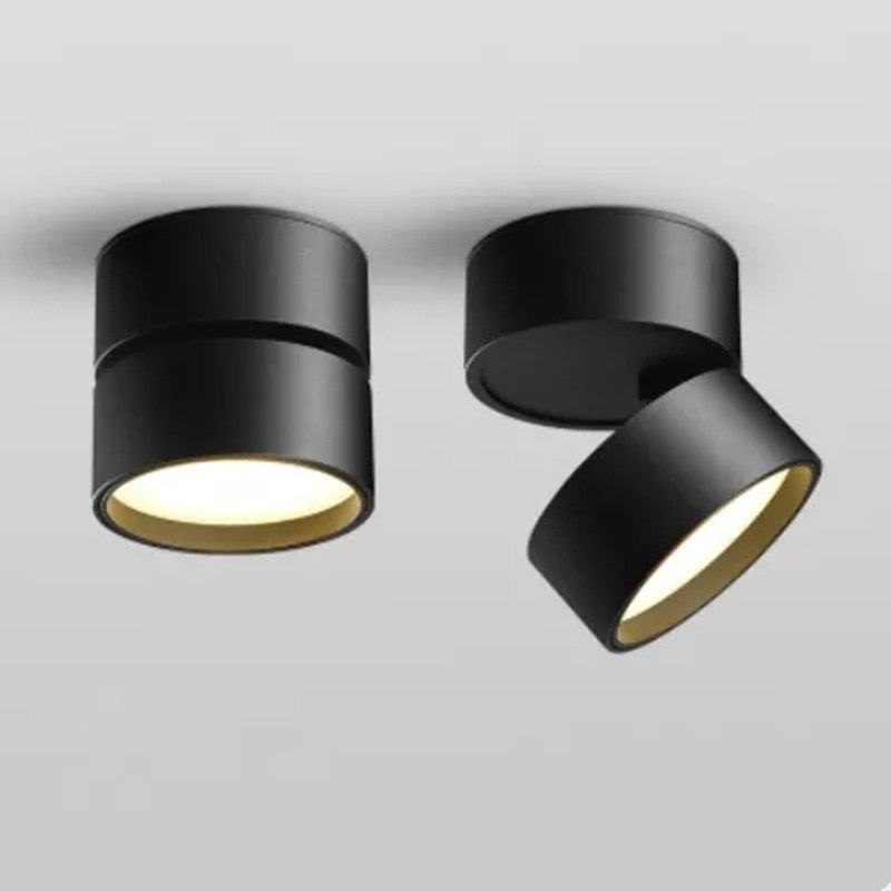 2021 New Style Anti-glare Dimmable Surface Mounted Rotating LED Downlight 20W 15W 10W Epistar Spot Light Ceiling Lamp AC90-260V