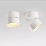 2021 New Style Anti-glare Dimmable Surface Mounted Rotating LED Downlight 20W 15W 10W Epistar Spot Light Ceiling Lamp AC90-260V