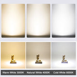 LED downlight 5W 7W 9W 12W 12V Ceiling Lamps Safety Voltage Ultra Thin Driverless led spot lights Ceiling Fixtures Lighting