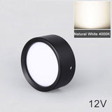 LED downlight 5W 7W 9W 12W 12V Ceiling Lamps Safety Voltage Ultra Thin Driverless led spot lights Ceiling Fixtures Lighting