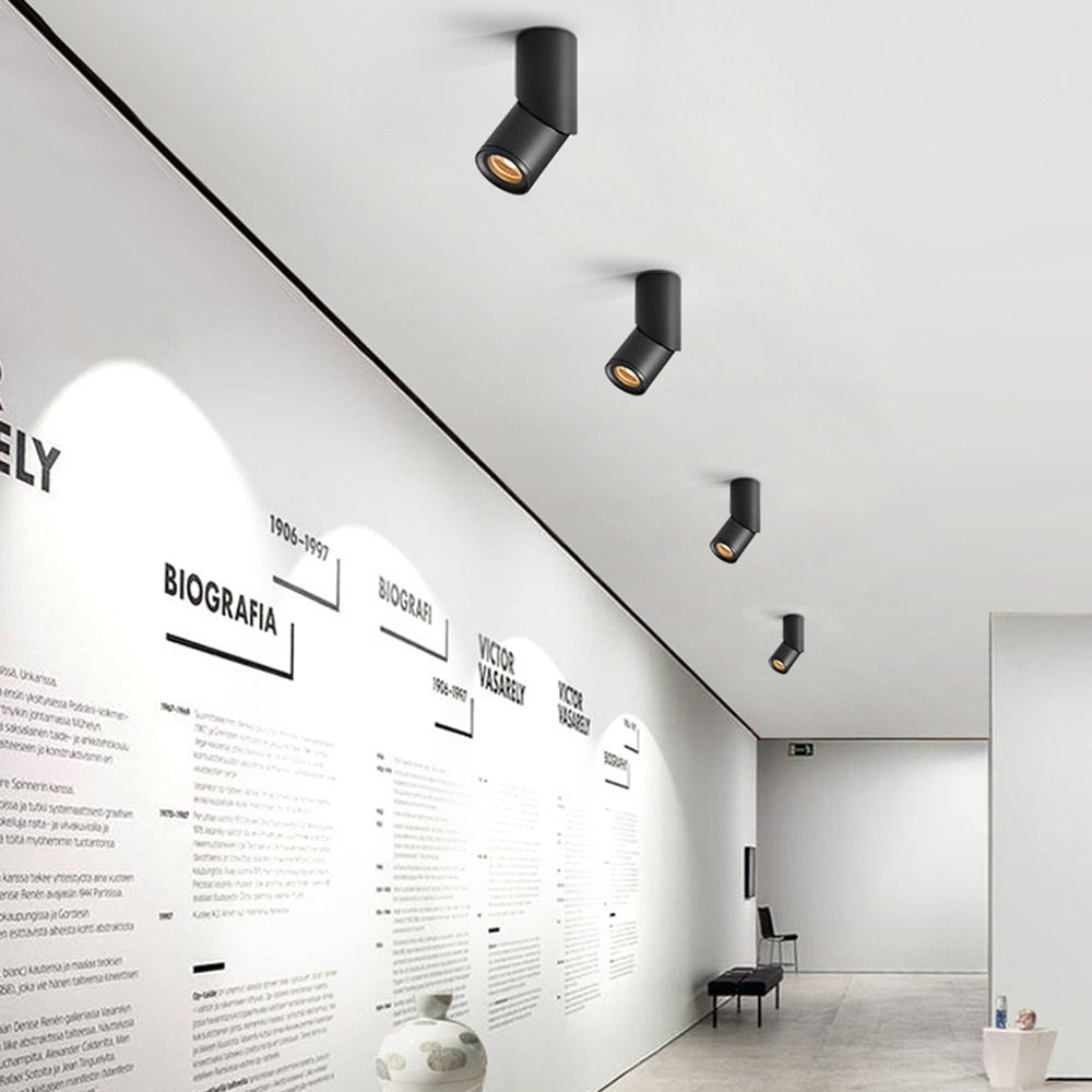 Dimmable Rotating 7W 9W 12W 15W COB LED Ceiling Downlights Spotlights AC110-220V LED Wall Lamp Warm Cold White Indoor Lighting