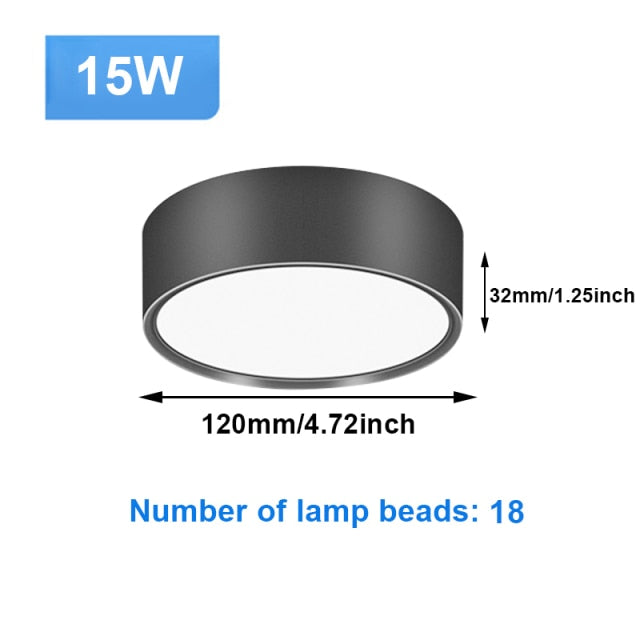 Ultra Thin LED Downlight Ceiling Lamp AC110-265V 5/10/15/25W Spot Led Lighting Fixture Panel Ceiling For Bedroom Corridor Stair