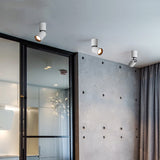 Anti-glare LED COB Downlight 12W 18W Dimmable AC110V-260V Ceiling Lamp 24W 24° Spot Light Aluminum For Store Home Lighting