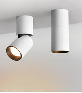 Anti-glare LED COB Downlight 12W 18W Dimmable AC110V-260V Ceiling Lamp 24W 24° Spot Light Aluminum For Store Home Lighting