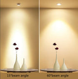 NEW 3W 10pcs/lot LED COB Spotlight Recessed Downlight Zoom Adjustable Lamp