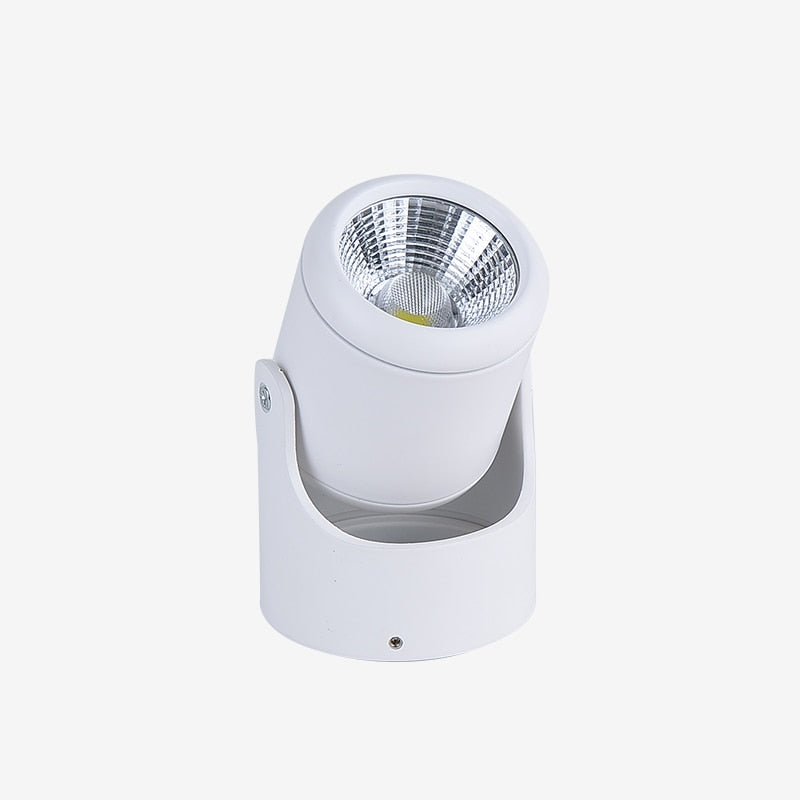 Spot light Surface Mounted White / Warm White 10W 20W AC 85-265V Ceiling Lamp 180 Degree Rotation Led Downlights Super Bright