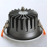LED ceiling LED spot light lamp dimmable 110V ,240V,30W LED downlight white black Including drive