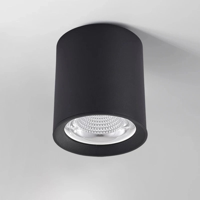 Surface Mounted High Quality Aluminum 10W LED Black White Body Ceiling LED Downlight 85-265V 10W For Shop Home Improvement